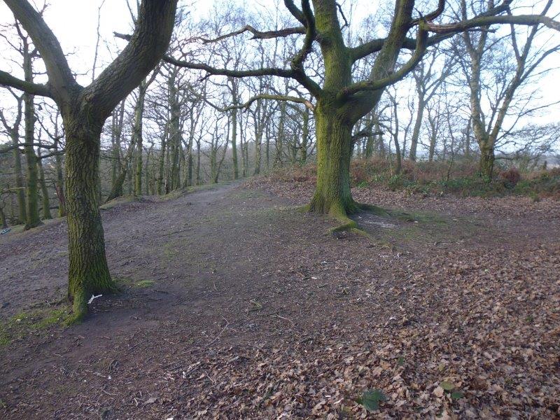 Bramcote Hill